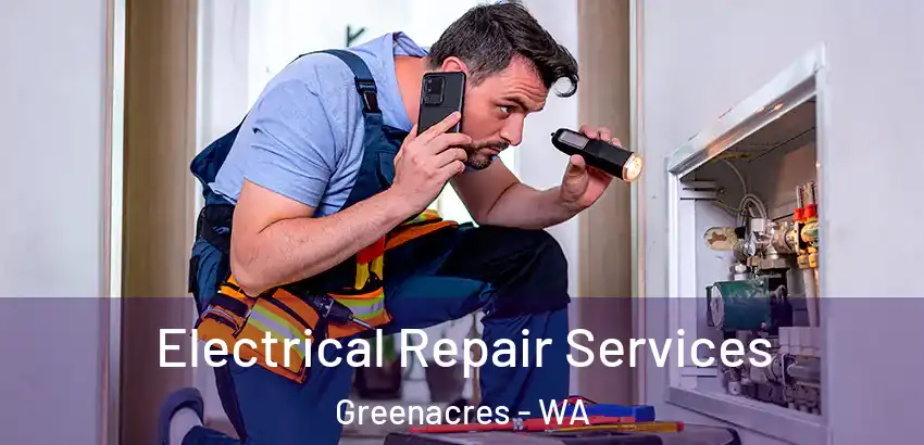Electrical Repair Services Greenacres - WA